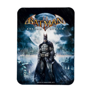 Batman: Arkham Asylum Game Cover Art Magnet