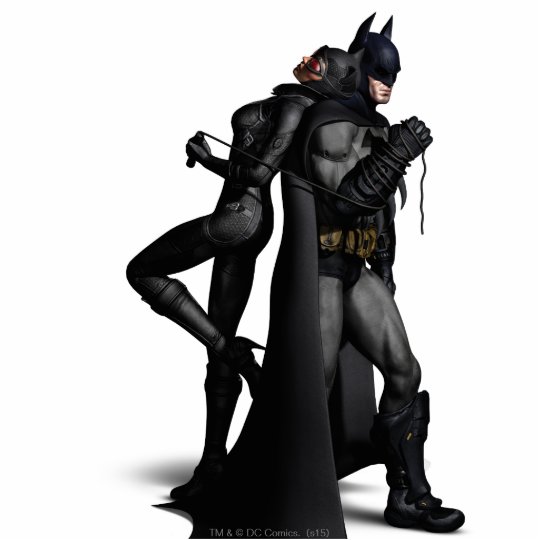 Batman Arkham City Batman And Catwoman Standing Photo Sculpture Zazzle Co Uk