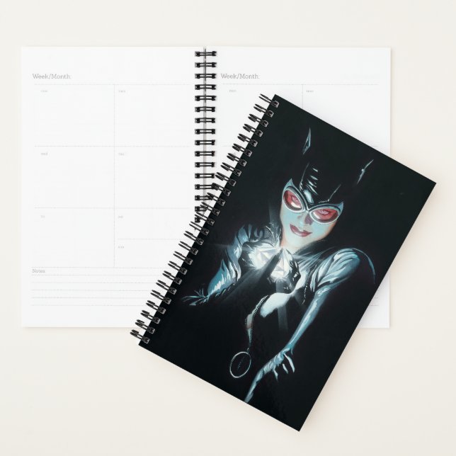 Batman Catwoman Faces of Evil Cover Illustration Planner (Display)