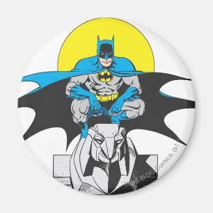 Batman Perches On Stone Lion Magnet