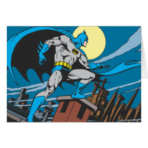 Batman Surveys City