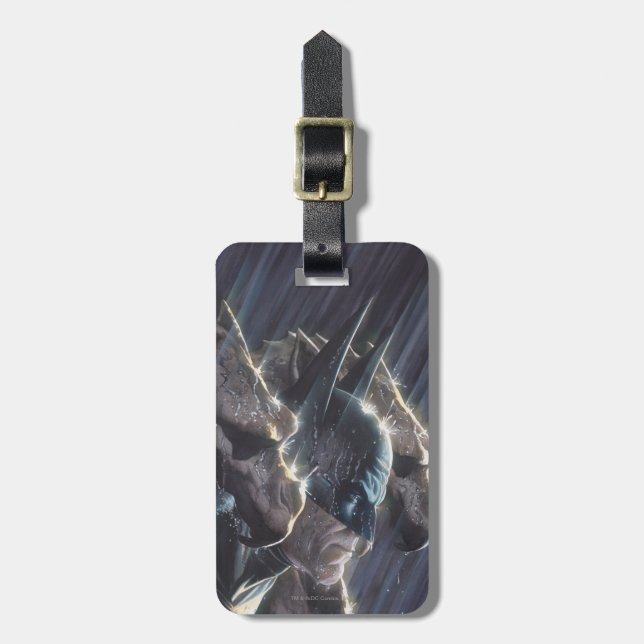 Batman Vol 1 #681 Cover Luggage Tag (Front Vertical)