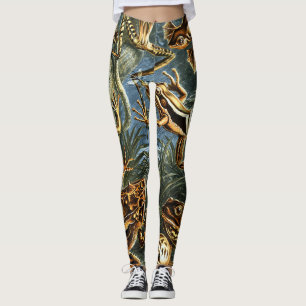 Batrachia Frogs by Ernst Haeckel Leggings