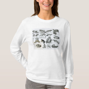 Batrachians and other Amphibia T-Shirt
