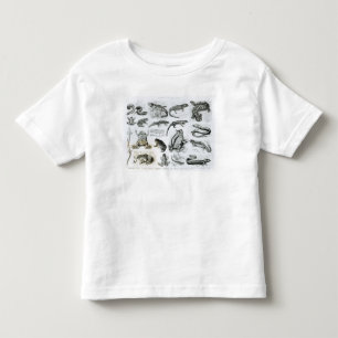 Batrachians and other Amphibia Toddler T-Shirt