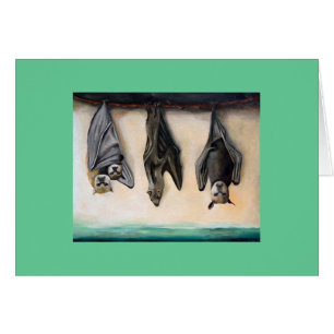 Bats