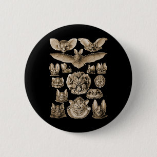Bats 6 Cm Round Badge