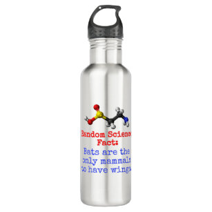 Bats Are The Only Mammals - Science Fact 710 Ml Water Bottle