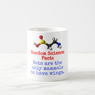 Bats Are The Only Mammals - Science Fact Coffee Mug