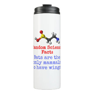 Bats Are The Only Mammals - Science Fact Thermal Tumbler