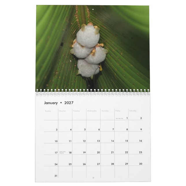 Bats Calendar (Jan 2027)