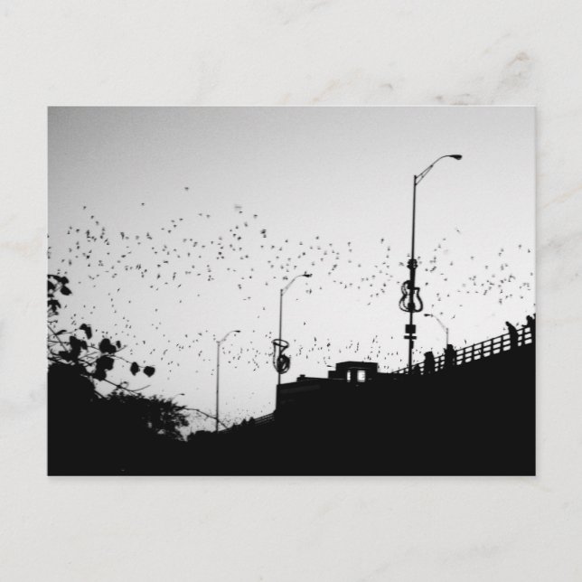 Bats over Austin Postcard (Front)