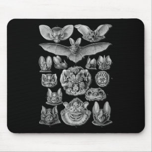 Bats Scientific Illustration Drawing Biology Art H Mouse Mat