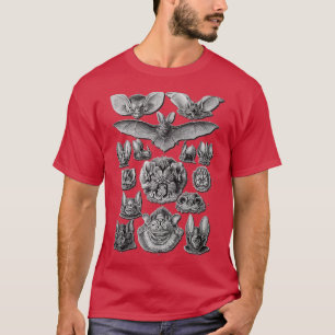 Bats Scientific Illustration Drawing Biology Art H T-Shirt