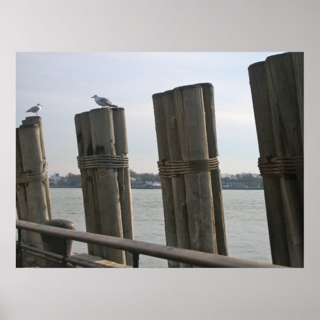 Battery Park - New York City Poster (Front)