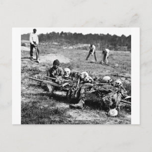 Battle of Cold Harbour, 1864 Postcard