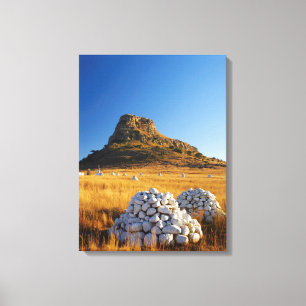 Battle Of Isandlwana Memorial Near Nqutu Canvas Print