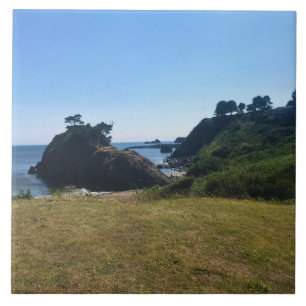 Battle Rock, Port Orford, OR Poster Tile