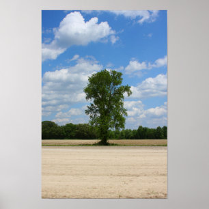 Battlefield Tree Poster