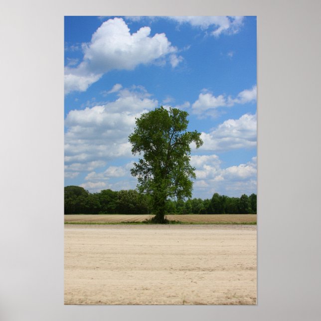 Battlefield Tree Poster (Front)