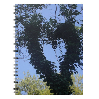 Baumherz Notebook