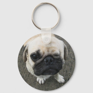 Bauwk ... Pug Dog ... かわいい 子犬 Key Ring