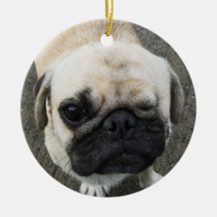 Bauwk ... Pug Dog ... Thailand Ceramic Tree Decoration
