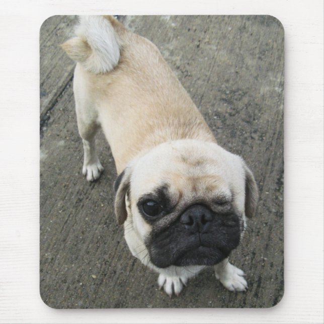 Bauwk ... THAI PUG DOG Mouse Mat (Front)