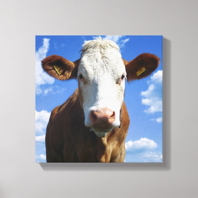 Bavarian cow against blue sky canvas print (Front)