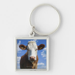 Bavarian cow against blue sky key ring