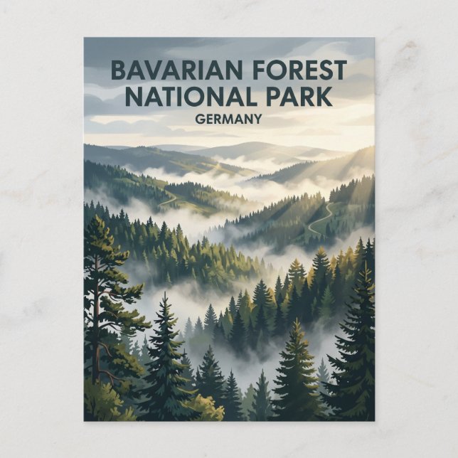 Bavarian Forest National Park Germany Postcard (Front)