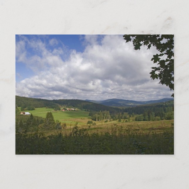 Bavarian Forest Postcard (Front)