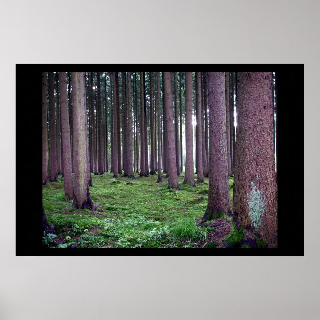 Bavarian Forest Poster (Front)