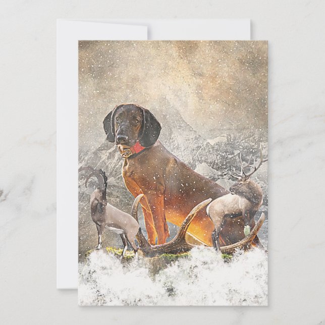 Bavarian Mountain Hound,  Art     Invitation (Front)