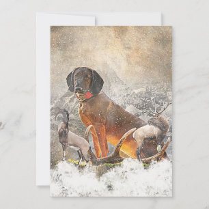 Bavarian Mountain Hound,  Art     Invitation