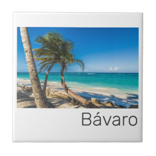 Bavaro Beach Caribbean Dominican Republic Souvenir Tile