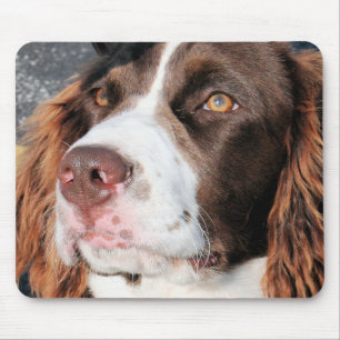Baxter - English Springer Spaniel Photo-06 Mouse Mat