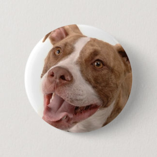 Baxter-rescued dog 6 cm round badge