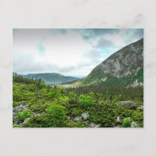 Baxter State Park, Maine Postcard