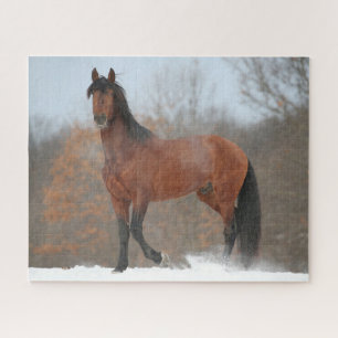 Bay Andalucian Stallion Standing In Snow Jigsaw Puzzle
