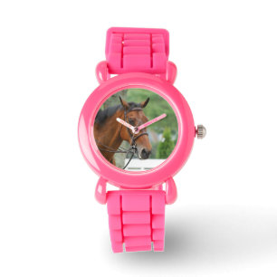 Bay Arab Horse Watch