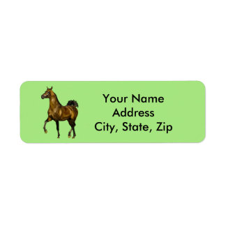 Bay Arabian Horse