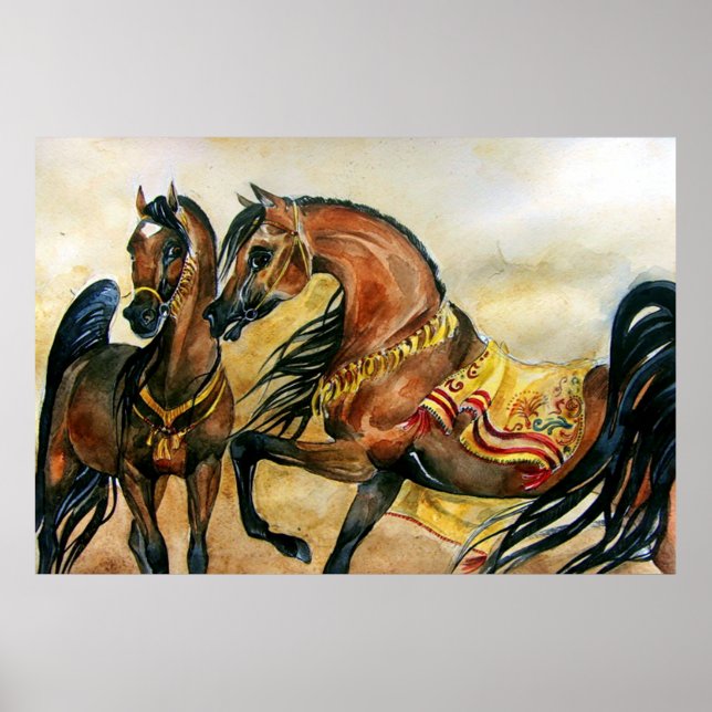 Bay Arabian Horse Portrait Poster Print (Front)