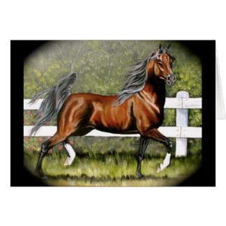 Bay Arabian Horse Running