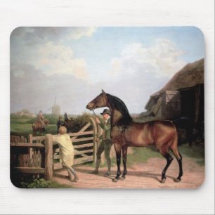 Bay Ascham ~ a stallion lead through a gate Mouse Mat