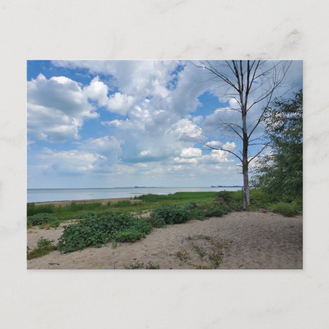 Bay City State Park Postcard (Front)