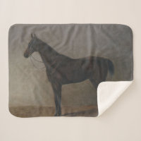 Bay Gelding Horse (by Albrecht Adam)