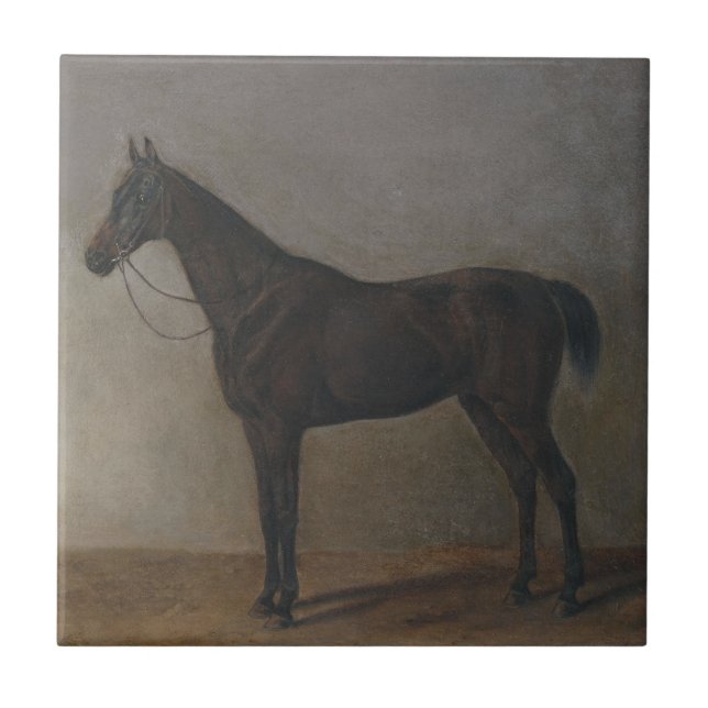 Bay Gelding Horse (by Albrecht Adam) Tile (Front)