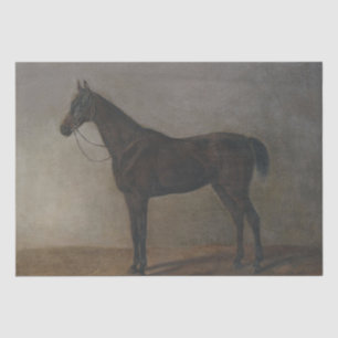 Bay Gelding Horse (by Albrecht Adam) Tissue Paper