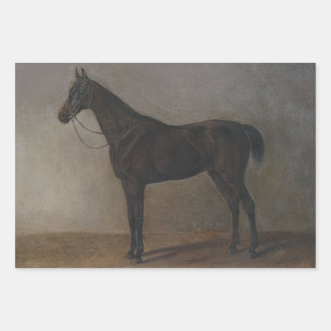 Bay Gelding Horse (by Albrecht Adam) Wrapping Paper Sheet (Front)